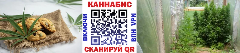 Cannafood марихуана  продажа наркотиков  Ува 